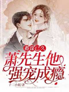 蓄谋已久,萧先生他强宠成瘾