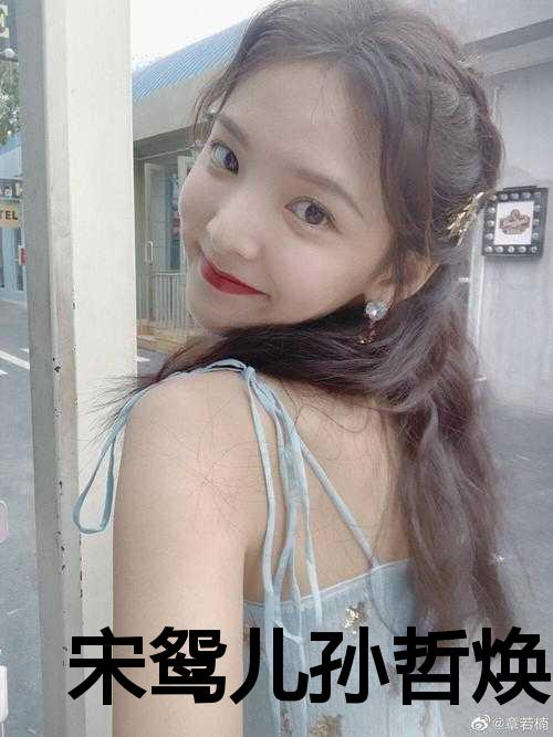 宋鸳儿孙哲焕在线阅读
