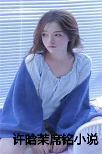 许晗茉席铭小说