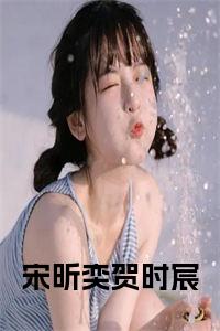 宋昕奕贺时宸小说