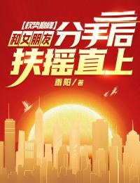 权势巅峰:和女朋友分手后扶摇直上