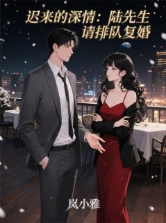 迟来的深情:陆先生,请排队复婚