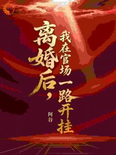 离婚后,我在官场一路开挂