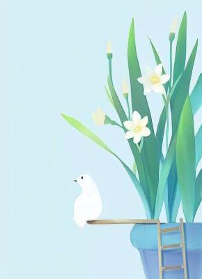 断亲后，疯批长女拿回了她的命