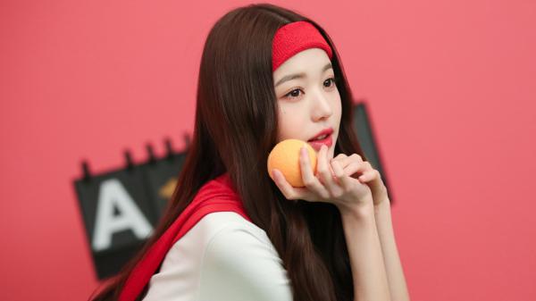 《陆安江子升》精彩章节列表在线试读 改修无情道后，师姐们馋哭了小说