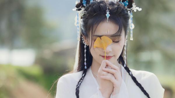 苏成苏北川精彩章节免费试读 苏北川苏成施秀小说结局无删节
