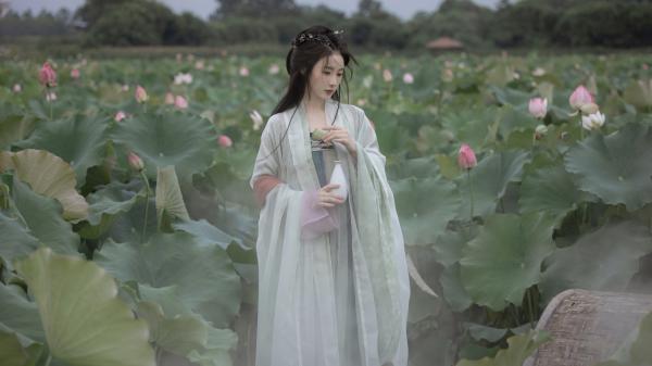 桑芜季槿已完结（桑芜季槿小说）全文免费阅读无弹窗大结局_桑芜季槿最新章节列表_笔趣阁（桑芜季槿）
