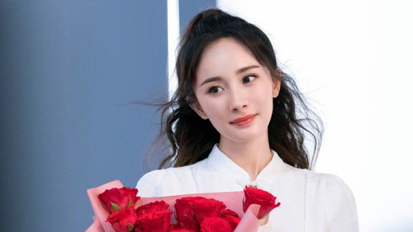 《我和苏柠结婚五年》小说完结版免费阅读 叶景辰苏柠小说全文
