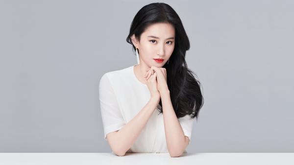 和老婆一起重生八零，她却转头求嫁厂长儿子陈知年韦月兰阅读_和老婆一起重生八零，她却转头求嫁厂长儿子文本在线阅读