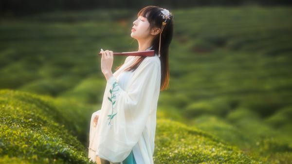 小说沈弈末日沈弈徐婉婷章节免费在线阅读地址