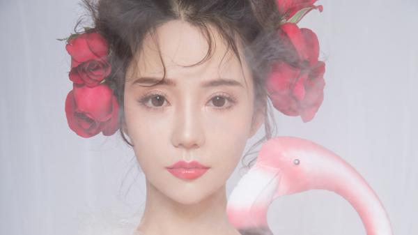 《苏南城顾时微》小说主角晚风不渡无心人全文章节免费免费试读