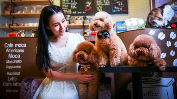 主角是李瑞琪琪的小说 《婆婆确诊艾滋后，我把她和大孝子一起扫地出门》 全文免费阅读
