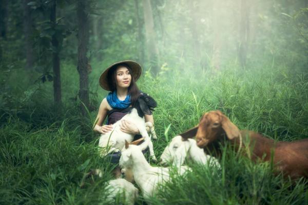 姜宝珠裴渡免费阅读(反派玩到飞起，攻略者崩溃了小说全本资源) 无广告