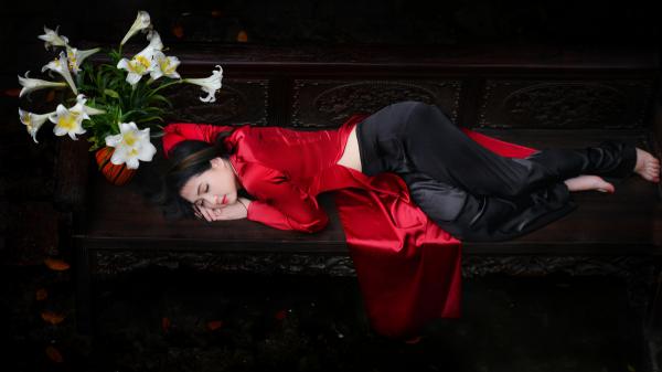 商陆沈辞全文在线阅读 普女变美后，大佬抢疯了全本无弹窗