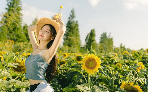 《谢淮禹沈知鸢》沈律师我刚发了一份离婚协议精彩章节在线阅读