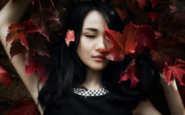 全文小说苏文陆晚风阎王下山by苍月夜阅读