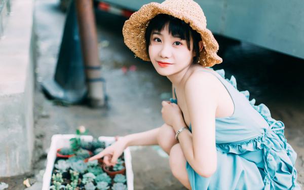 花开冷光小说贺扶光贺云归热门小说完结版阅读