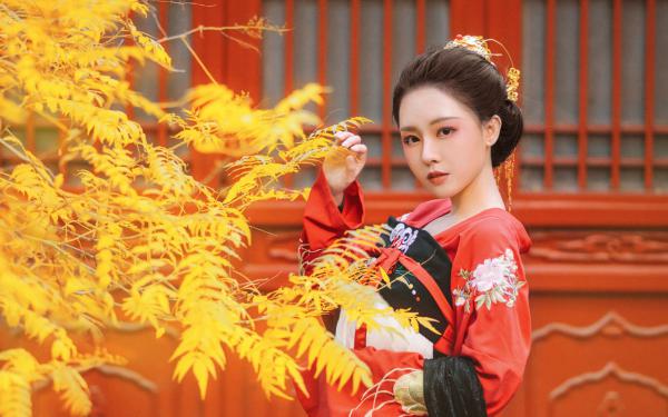 《成全深情驸马后，他却后悔了》小说全文精彩试读 成全深情驸马后，他却后悔了第10章