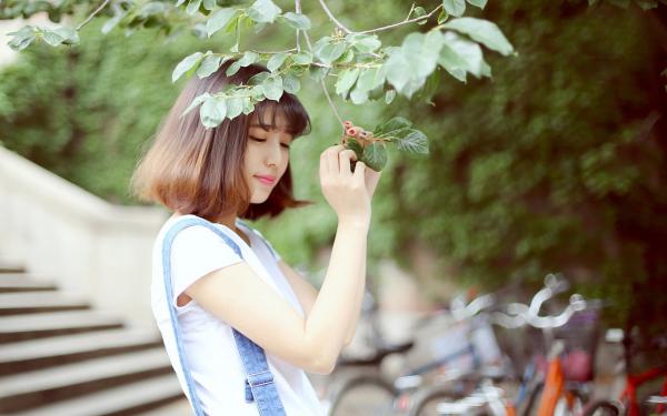 无广告小说柏近秦锦初全文免费阅读无弹窗大结局-柏近秦锦初川在线阅读