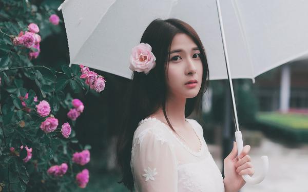 周乔扶光《不舔了，回反派窝当犟种师叔》全文及大结局精彩试读