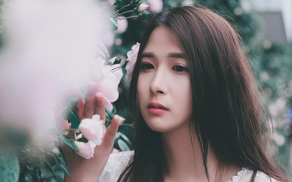 好书推荐《失忆后，我成了霸总的契约前妻》阮星晚陆霆渊白薇薇全文在线阅读