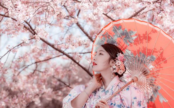 （救命！宿主又被偏执大佬诱婚了）全文免费阅读无弹窗大结局_（扶桑战神阅读无弹窗）救命！宿主又被偏执大佬诱婚了最新章节列表