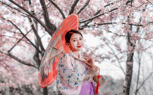 惜长留苏影谢律小说全文章节阅读 惜长留免费完整版