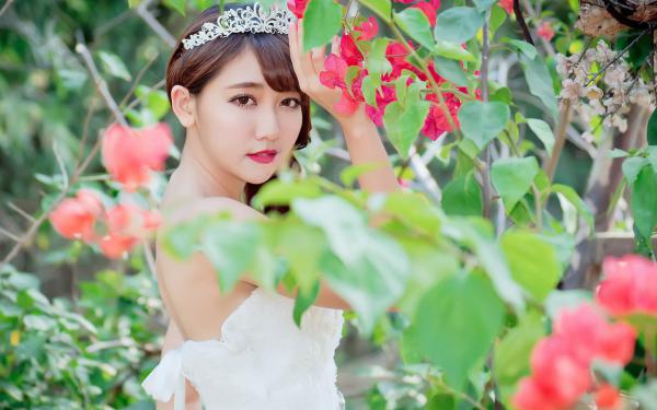 《能看心声后，我让渣男贱女净身出户》小说章节列表免费试读 陈景明白薇薇苏清颜小说全文