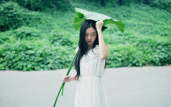 新书《我和妹妹一起穿到兽人大陆》小说全集阅读 裴喜金成白珩小说免费完整版全文