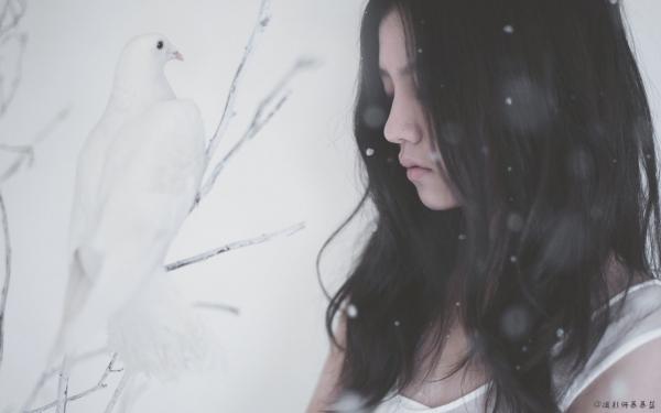 好书推荐《婆娑情深终不悔》宋凌雪靳安晟宋霞全文在线阅读