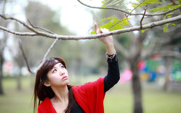 婚后小娇妻马甲掉不停，终究是傅爷高攀了全文免费阅读无弹窗大结局-傅寒晏沈九音最新章节列表_笔趣阁（婚后小娇妻马甲掉不停，终究是傅爷高攀了）