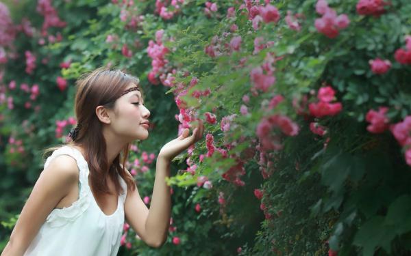 桑芜季槿下载（桑芜季槿全文免费）全文免费阅读无弹窗大结局大结局_桑芜季槿最新章节列表_笔趣阁(桑芜季槿)